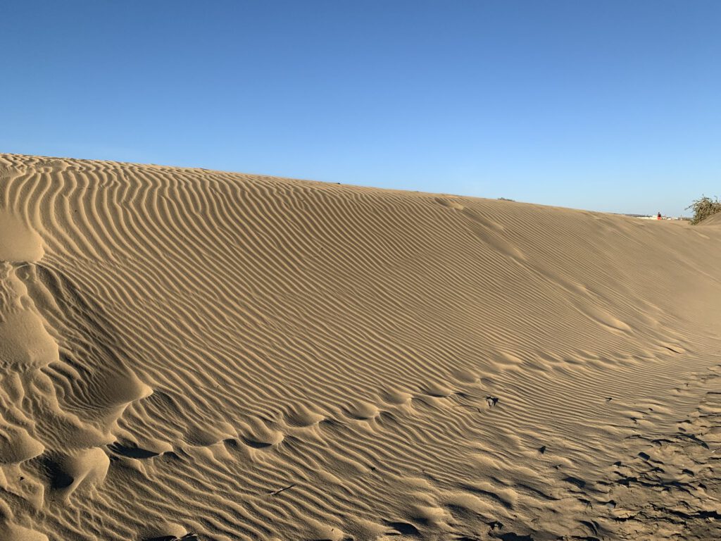 Gran Canaria – eine Weltreise auf einer Insel