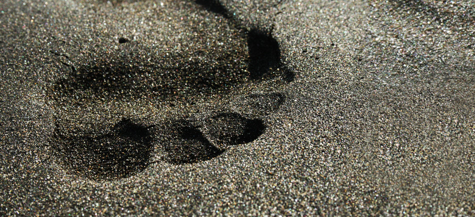 Spuren im Sand auf Fuerteventura