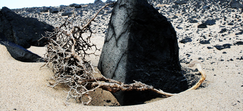 Karge Landschaft auf Fuerteventura